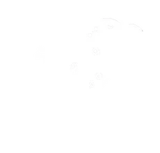 Nevermore raven mark